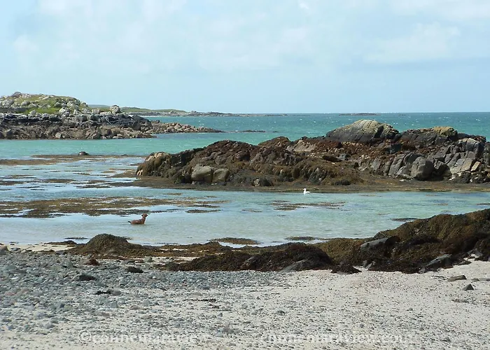 Errismore House Clifden