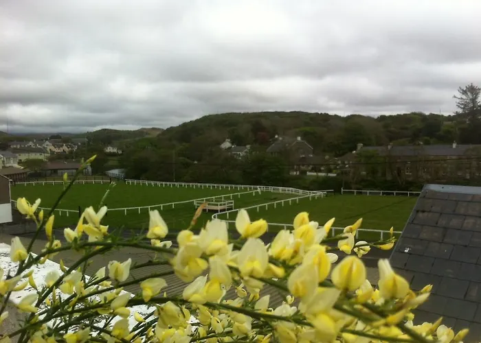 Errismore House Daire *